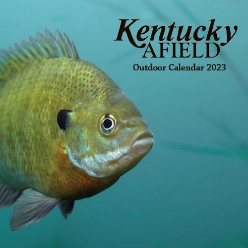Kentucky Afield Calendar cover